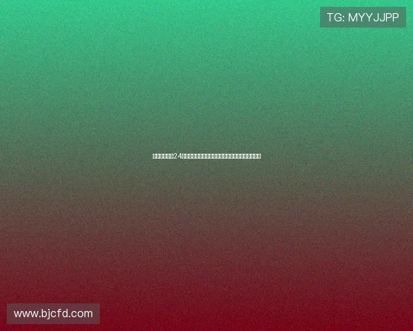 德甲直播免费24直播网打造高清稳定足球赛事观赛平台全程流畅体验